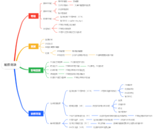 易损斑块