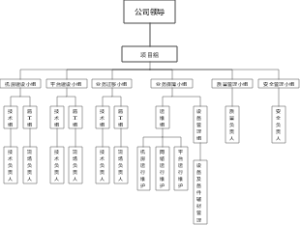 信息化项目组织架构图