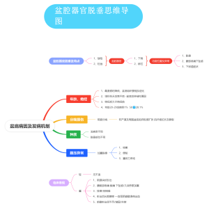 盆腔器官脱垂