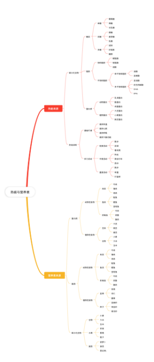 热能与营养素