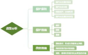 政策分析