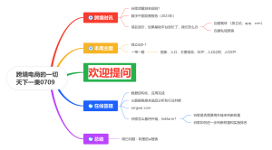 升维跨境直播流程0709