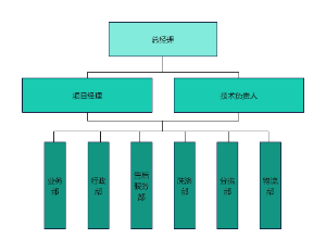 公司组织结构图