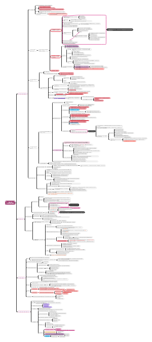 2024审计第十七章