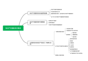 知识产权国际条约概述