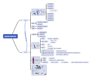 腔肠动物和扁形动物