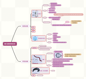 线形动物和环形动物