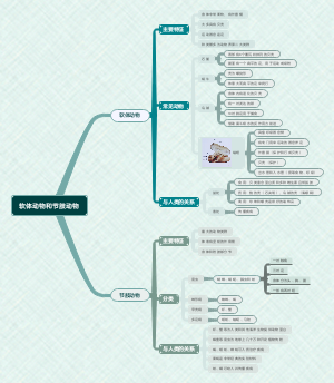 软体动物和节肢动物
