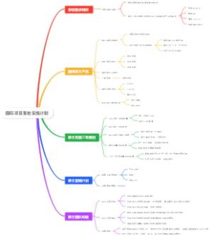 国际项目落地实施计划