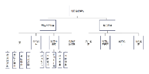 管理系统组织结构图