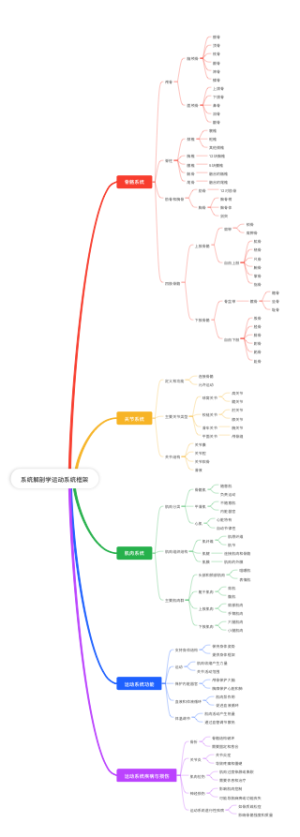 运动系统框架