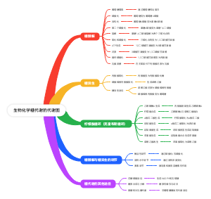 生物化学糖代谢的代谢图