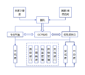 医学相关流程图