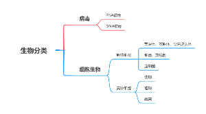 生物分类