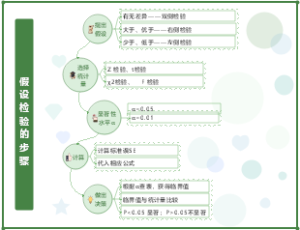 假设检验的步骤