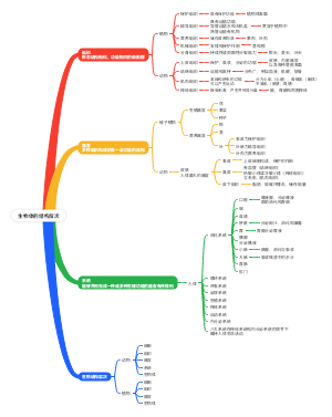 生物体的结构层次