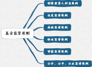 基金监管原则