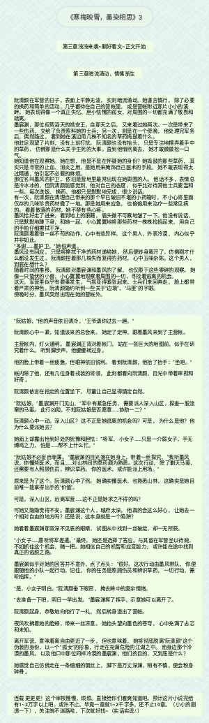 《寒梅映雪，墨染相思》3