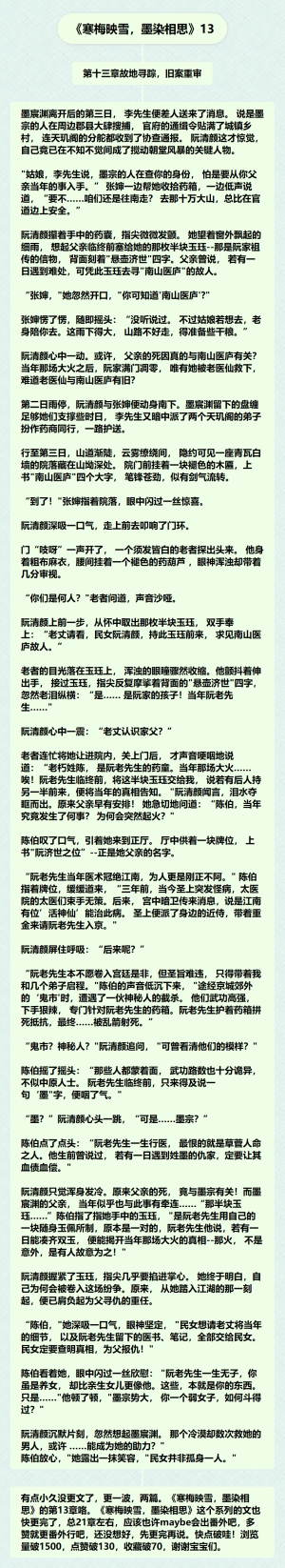 《寒梅映雪，墨染相思》13