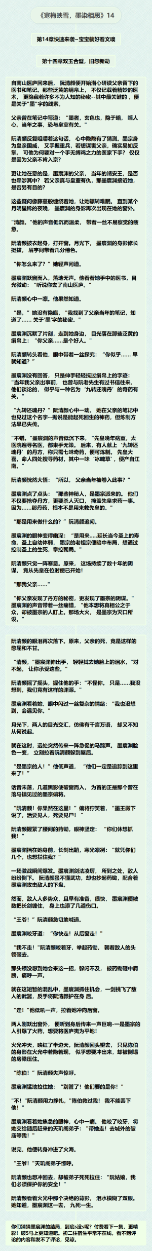 《寒梅映雪，墨染相思》14