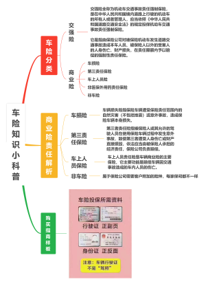 车险知识小科普