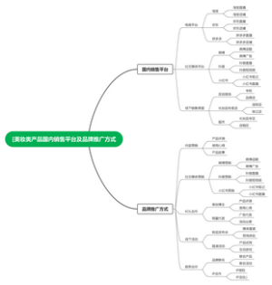 [美妆类产品国内销售平台及品牌推广方式