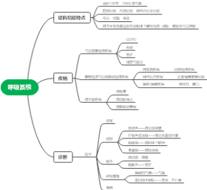呼吸系统