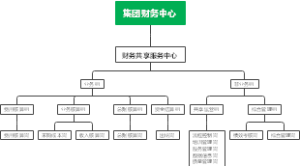 集团财务中心结构图