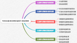 专业化服务品牌价值提升路径策略