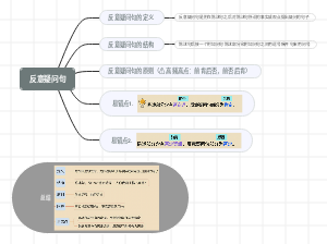 反意思疑问句