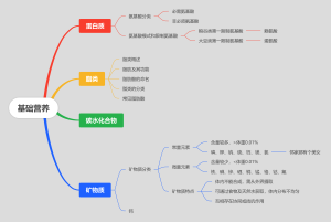 基础营养