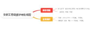 女职工劳动保护特别规定