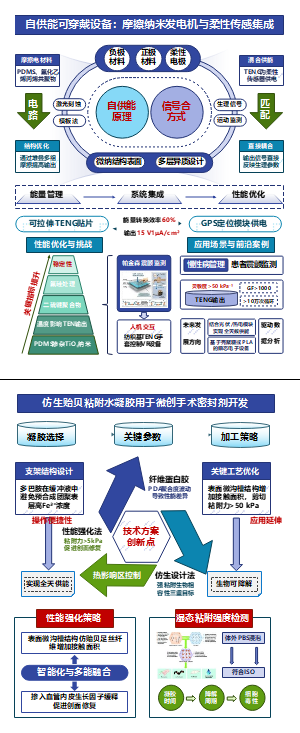 技术路线图-生物医学工程篇二