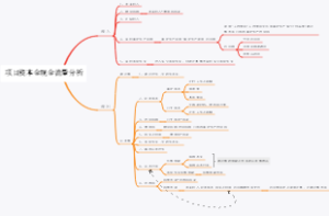 项目资本金现金流量分析