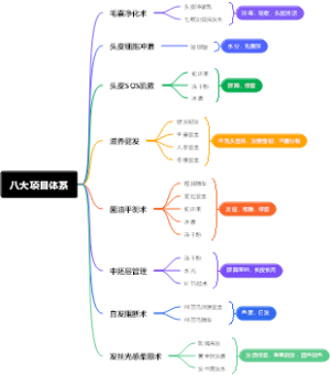 头皮八大项目体系