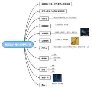 纪录片《最极致的中国》