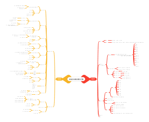 基础运动解剖学髋关节篇