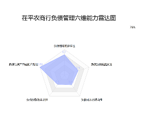 NFRA能力雷达图