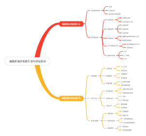 细菌感染的检查方法与防治原则
