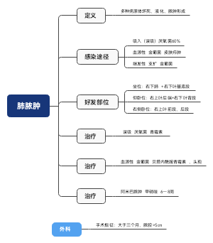 内科 呼吸系统 5 肺脓肿