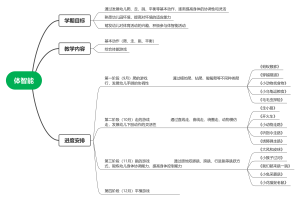 体智能