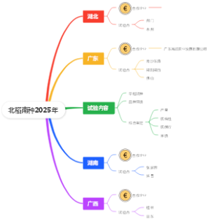 北稻南种2025年