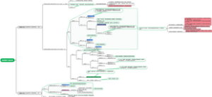 训练场客户分层-V20240905
