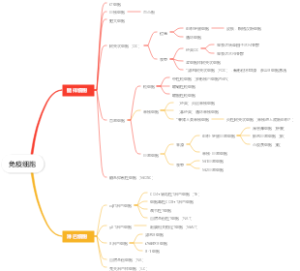 免疫细胞
