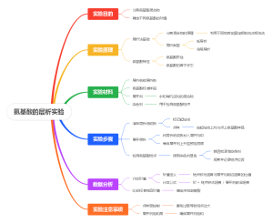 氨基酸的层析实验