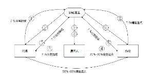 关于SNC员工与不同角色之间的利润分配流程