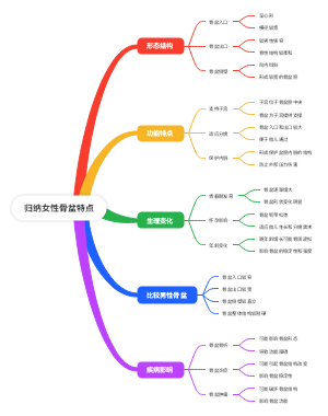 归纳女性骨盆特点