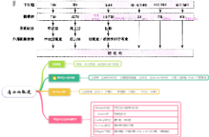 内分泌概述——内科考研306
