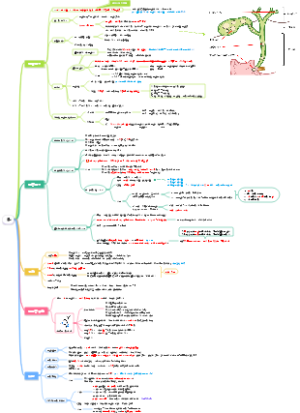 胆——考研西综306，外科