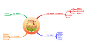 寒露